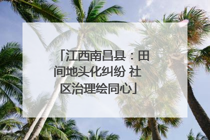 江西南昌县：田间地头化纠纷 社区治理绘同心