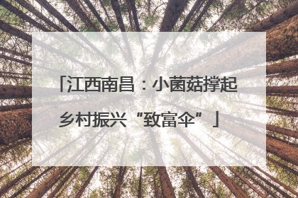 江西南昌：小菌菇撑起乡村振兴“致富伞”