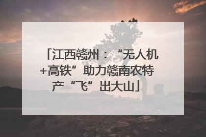江西赣州：“无人机+高铁”助力赣南农特产“飞”出大山