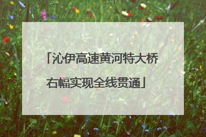沁伊高速黄河特大桥右幅实现全线贯通