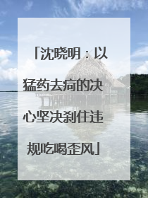 沈晓明：以猛药去疴的决心坚决刹住违规吃喝歪风