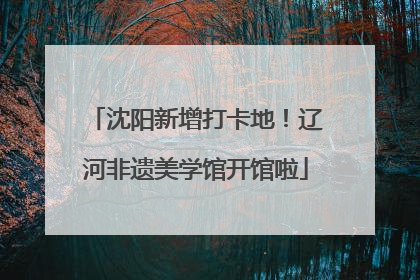 沈阳新增打卡地！辽河非遗美学馆开馆啦