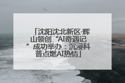沈阳沈北新区·辉山领创“AI奇遇记”成功举办：沉浸科普点燃AI热情