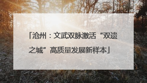 沧州：文武双脉激活“双遗之城”高质量发展新样本