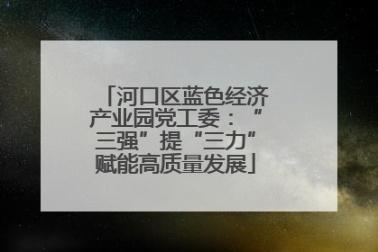 河口区蓝色经济产业园党工委：“三强”提“三力”赋能高质量发展