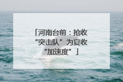 河南台前：抢收“突击队”为夏收“加速度”