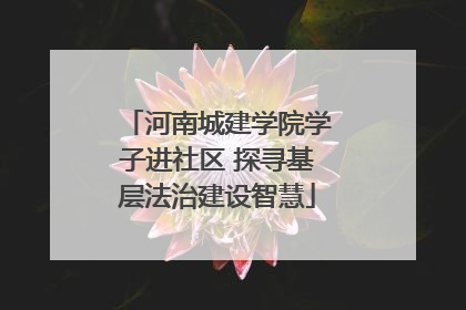河南城建学院学子进社区 探寻基层法治建设智慧