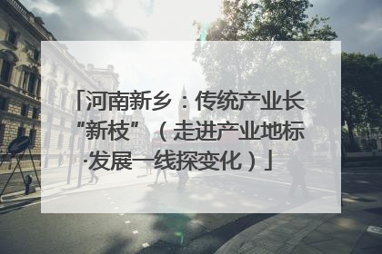 河南新乡：传统产业长“新枝”（走进产业地标·发展一线探变化）