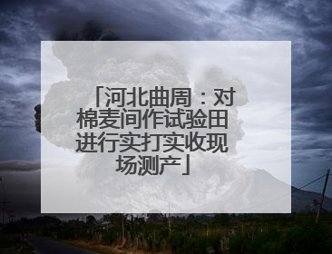 河北曲周：对棉麦间作试验田进行实打实收现场测产