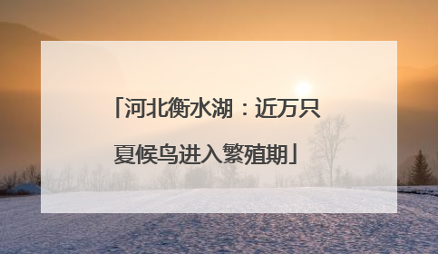 河北衡水湖：近万只夏候鸟进入繁殖期