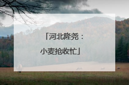 河北隆尧：小麦抢收忙