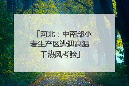 河北：中南部小麦生产区遭遇高温干热风考验