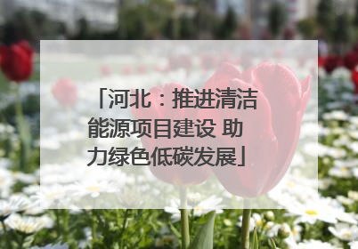 河北：推进清洁能源项目建设 助力绿色低碳发展
