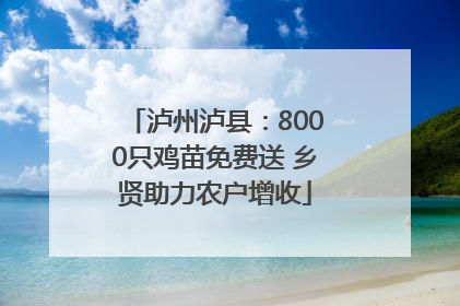 泸州泸县：8000只鸡苗免费送 乡贤助力农户增收