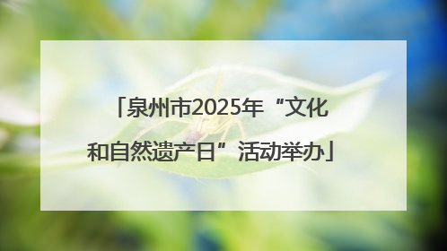泉州市2025年“文化和自然遗产日”活动举办