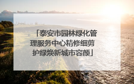 泰安市园林绿化管理服务中心精修细剪护绿焕新城市容颜