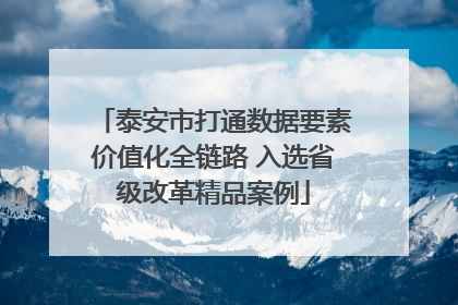 泰安市打通数据要素价值化全链路 入选省级改革精品案例