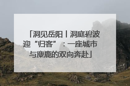 洞见岳阳丨洞庭碧波迎“归客”：一座城市与麋鹿的双向奔赴
