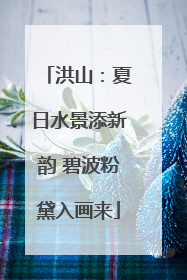 洪山：夏日水景添新韵 碧波粉黛入画来