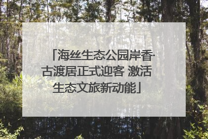 海丝生态公园岸香·古渡居正式迎客 激活生态文旅新动能