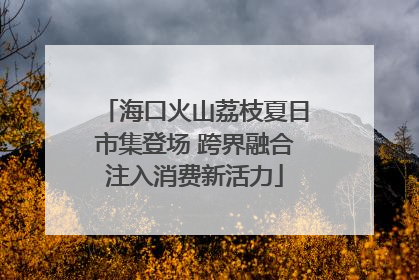 海口火山荔枝夏日市集登场 跨界融合注入消费新活力