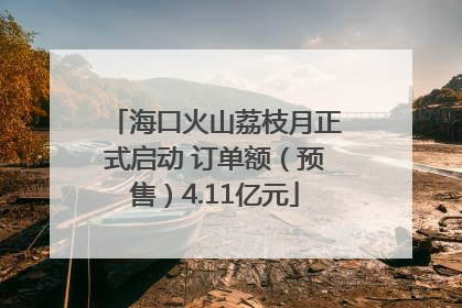 海口火山荔枝月正式启动 订单额（预售）4.11亿元