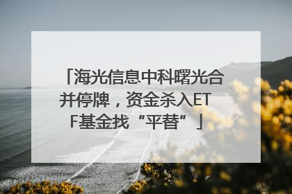 海光信息中科曙光合并停牌，资金杀入ETF基金找“平替”