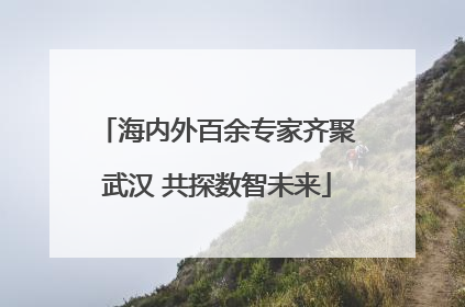 海内外百余专家齐聚武汉 共探数智未来