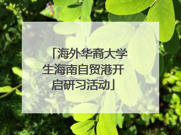 海外华裔大学生海南自贸港开启研习活动