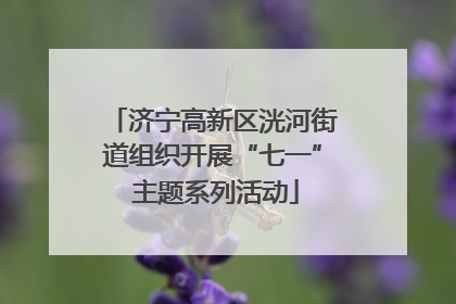 济宁高新区洸河街道组织开展“七一” 主题系列活动