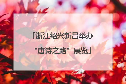 浙江绍兴新昌举办“唐诗之路”展览