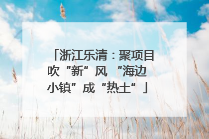 浙江乐清：聚项目吹“新”风 “海边小镇”成“热土”