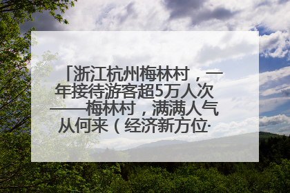 浙江杭州梅林村，一年接待游客超5万人次——梅林村，满满人气从何来（经济新方位·农村消费观察）