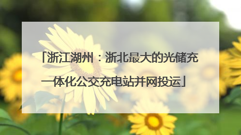 浙江湖州：浙北最大的光储充一体化公交充电站并网投运