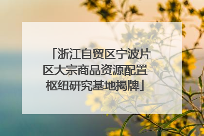 浙江自贸区宁波片区大宗商品资源配置枢纽研究基地揭牌