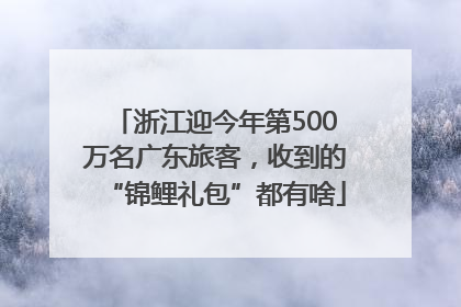浙江迎今年第500万名广东旅客，收到的“锦鲤礼包”都有啥