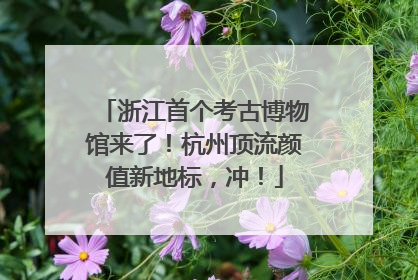 浙江首个考古博物馆来了！杭州顶流颜值新地标，冲！