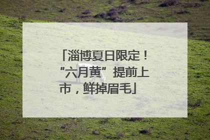 淄博夏日限定！“六月黄”提前上市，鲜掉眉毛