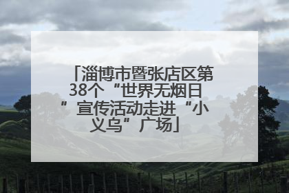 淄博市暨张店区第38个“世界无烟日”宣传活动走进“小义乌”广场