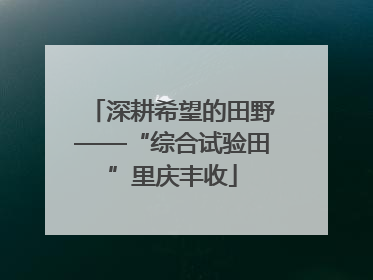深耕希望的田野——“综合试验田”里庆丰收