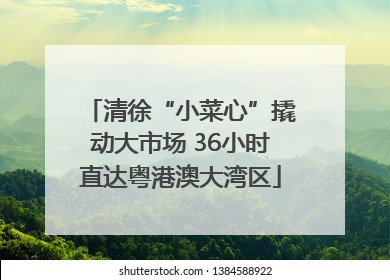 清徐“小菜心”撬动大市场 36小时直达粤港澳大湾区