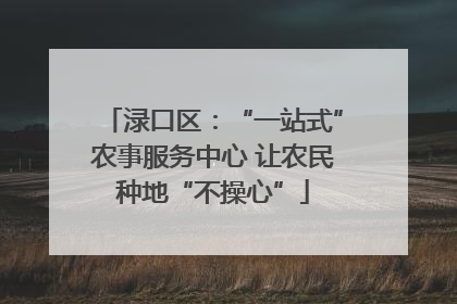 渌口区：“一站式”农事服务中心 让农民种地“不操心”