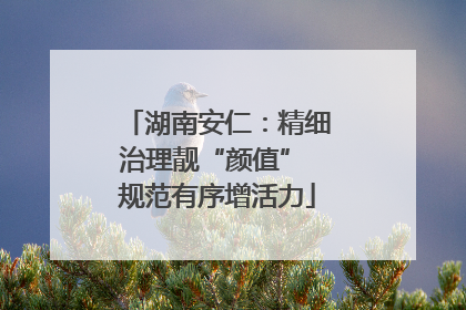 湖南安仁：精细治理靓“颜值” 规范有序增活力