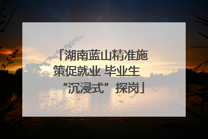 湖南蓝山精准施策促就业 毕业生“沉浸式”探岗