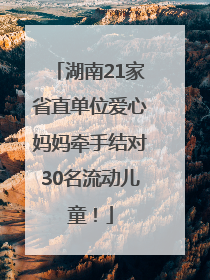 湖南21家省直单位爱心妈妈牵手结对30名流动儿童！