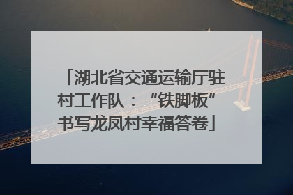 湖北省交通运输厅驻村工作队：“铁脚板”书写龙凤村幸福答卷