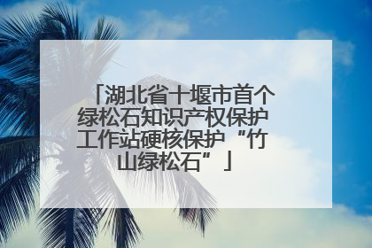 湖北省十堰市首个绿松石知识产权保护工作站硬核保护“竹山绿松石”