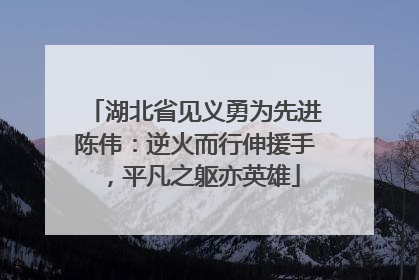湖北省见义勇为先进陈伟：逆火而行伸援手，平凡之躯亦英雄