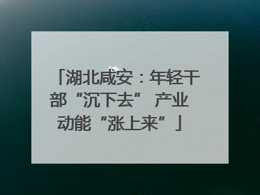 湖北咸安：年轻干部“沉下去” 产业动能“涨上来”