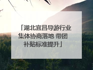 湖北宜昌导游行业集体协商落地 带团补贴标准提升